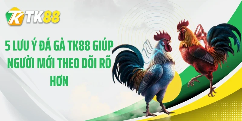 5 lưu ý đá gà TK88 giúp người mới theo dõi rõ hơn