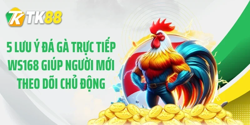 5 lưu ý đá gà trực tiếp WS168 giúp người mới theo dõi chủ động