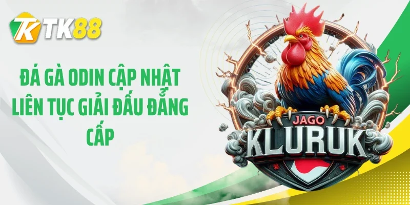 Đá gà ODIN cập nhật liên tục giải đấu đẳng cấp