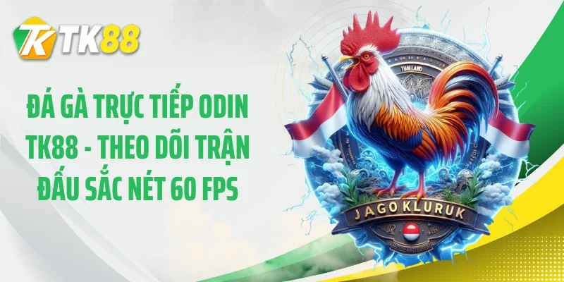 Đá Gà Trực Tiếp Odin TK88 - Theo Dõi Trận Đấu Sắc Nét 60 FPS