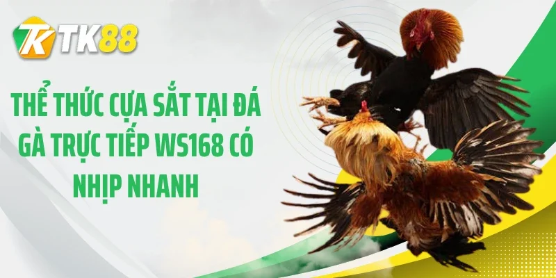 Thể thức cựa sắt tại đá gà trực tiếp WS168 có nhịp nhanh