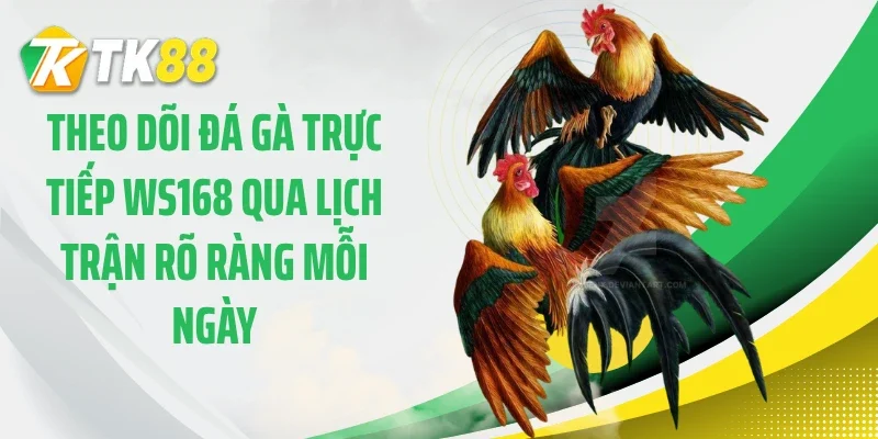 Theo dõi đá gà trực tiếp WS168 qua lịch trận rõ ràng mỗi ngày